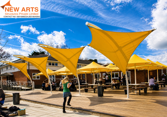 New Arts Structures